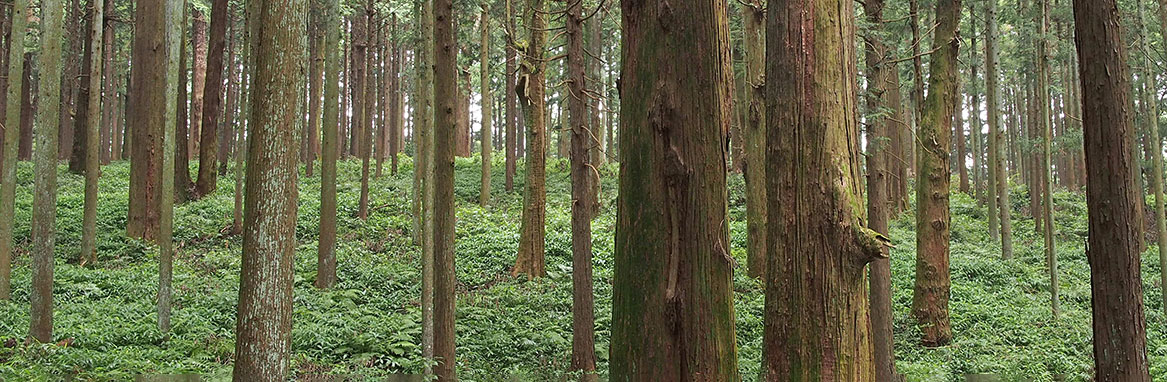 お気軽にお問い合わせください