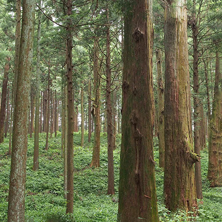 お気軽にお問い合わせください